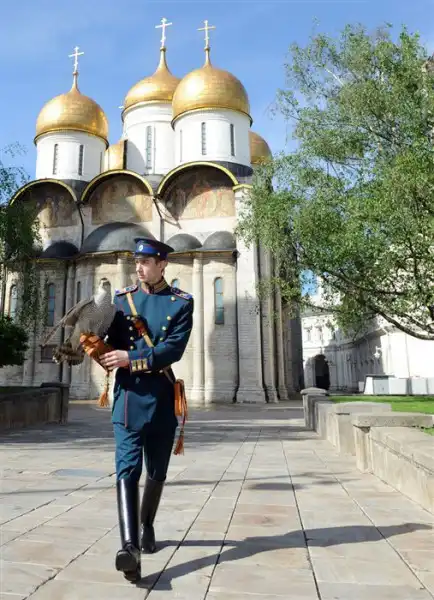 В ГД предложили сформировать эскадрилью «орлов-перехватчиков» для защиты от дронов