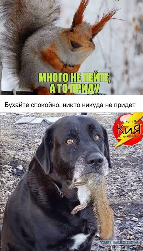 Власти рассматривают возможность ввести запрет на продажу крепкого алкоголя с 20:00 до 11:00