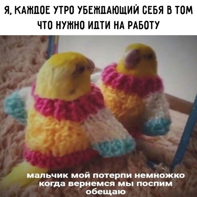 Картинки и мемы, всяко разно - 175