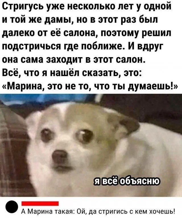 Утренние полубаяны