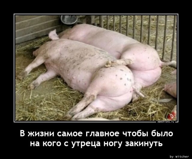 Картинки с надписями 22.07.23
