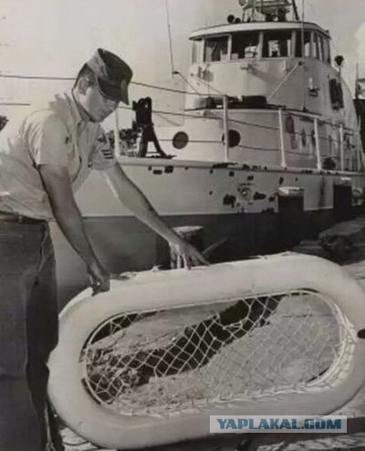 История Терри Джо Дюперро, 11-летней девочки, выжившей в открытом океане