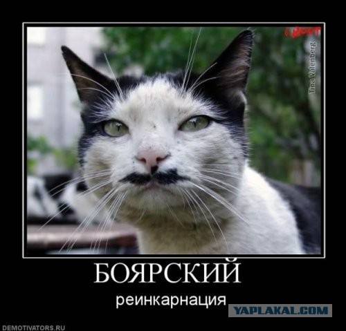 А что если?