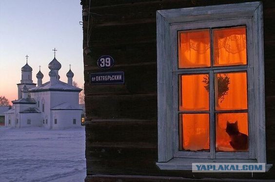 Прикольные и просто красивые картинки 29.12.2023