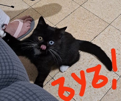 Которабство