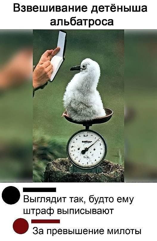 Эмма Уотсон берёт за щеку