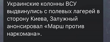Залужный снят