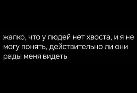 Всего понемногу. От 04.03.24