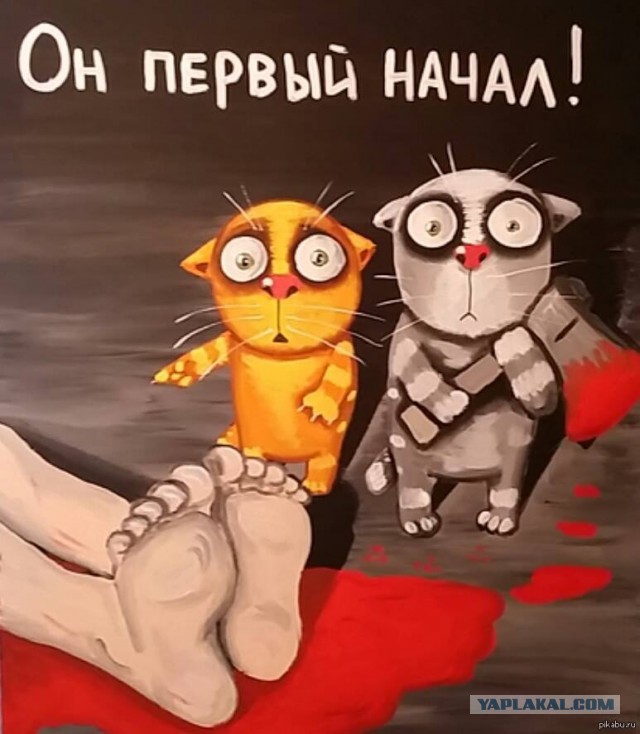 Заведи котика, говорили они, будет весело, они говорили...