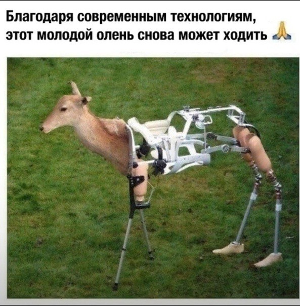 Околоайтишные мемчики 3