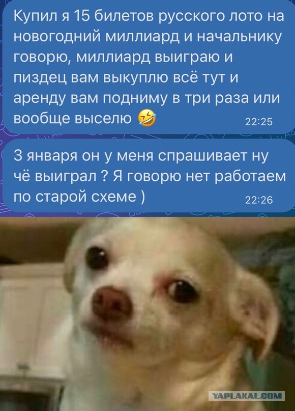 Пока нищеброды