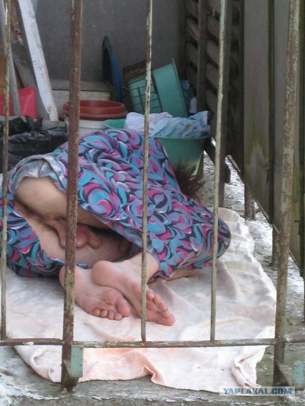 Палкой потыкать?