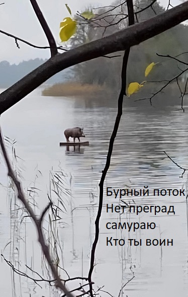 Обычные дома в Рязани