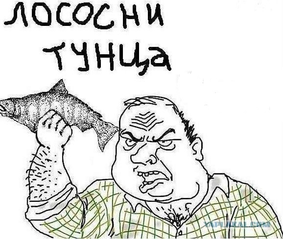 В волгоградском автосервисе разводили осетровых