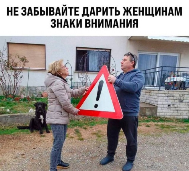 Дичь. Просто дичь