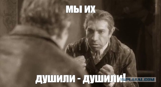 Вы сломали кота