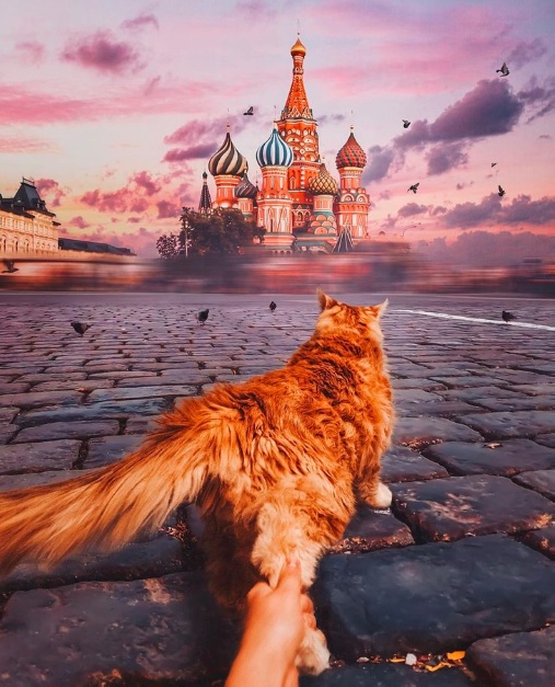 Так всякие картинки