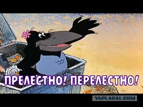 Насрал и улетел