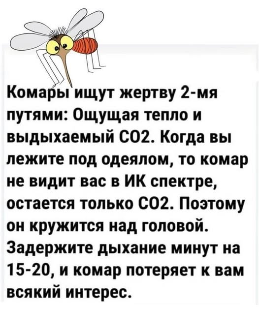 20712416.jpg