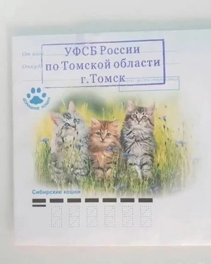 Субботние картинки