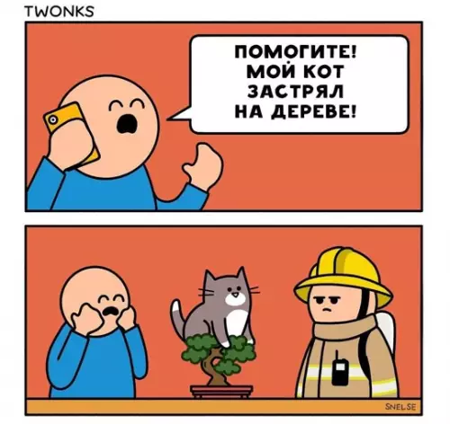 Картиночки, баянчики 19 февраля