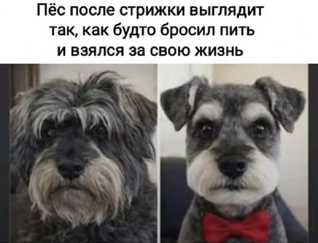 Так себе картинки 19.03.26