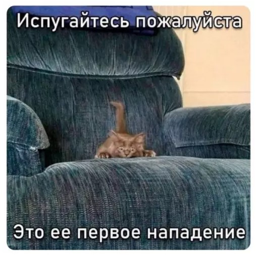 Пакет брать будете?