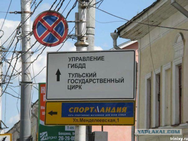 Маразмы года 2013