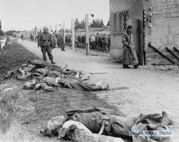 Охотники за черепами из U.S.Army