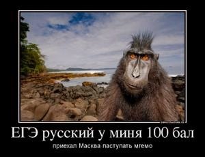 Вот это поворот!