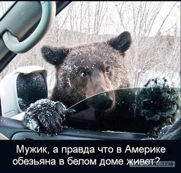 Украинские приколы.