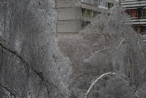 Лед на улицах Москвы
