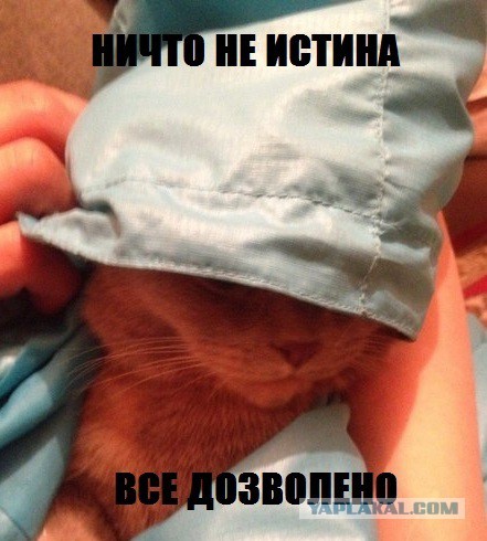 Котовторник 29.04.14.