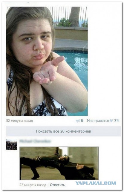 Смешные комментарии из социальных сетей #2