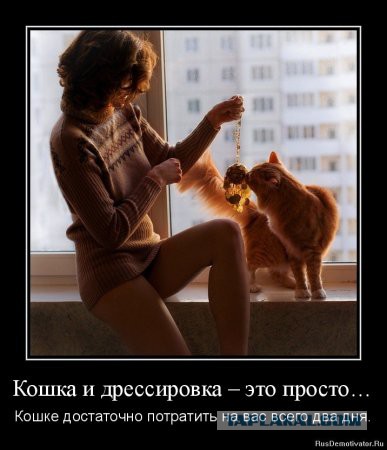Чёрт, чёрт, чёрт!