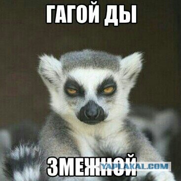 Популярные мемы на ЯПе