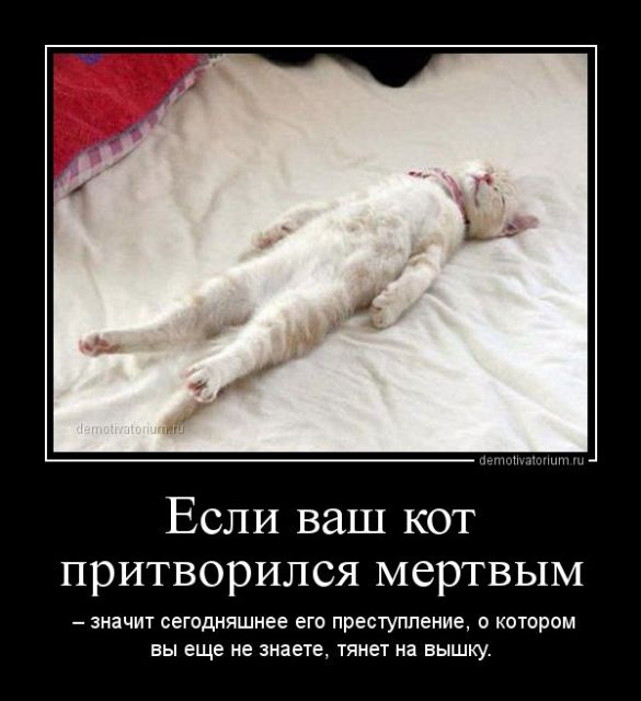 Картинки с инета.
