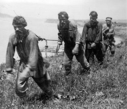 Я смотрю народ у нас слегка "опух", От хорошей жизни