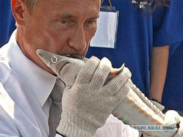 Клуни? Да неее