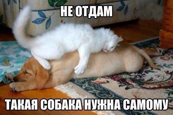 Подборка картинок