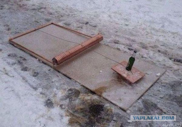 Прикольные картинки на понедельник