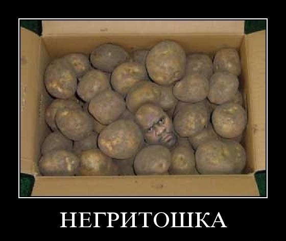 Забавные картинки из Сети