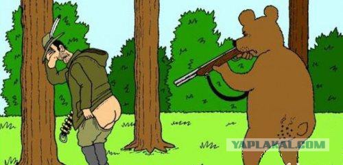 10 фактов, которые вам нужно знать о медведях