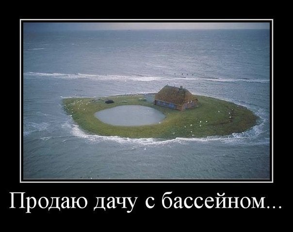 Забавные картинки из Сети