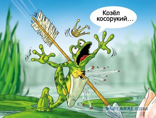 Прикольные картинки