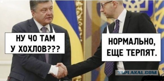 Последняя надежда отечественной журналистики