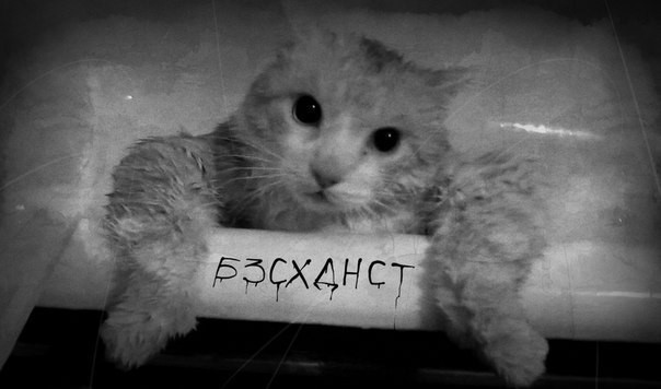 Почему поздно заметили астероид