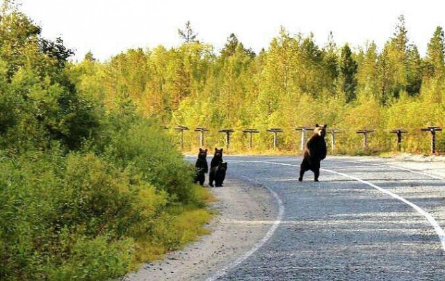 Наряды с выпускного