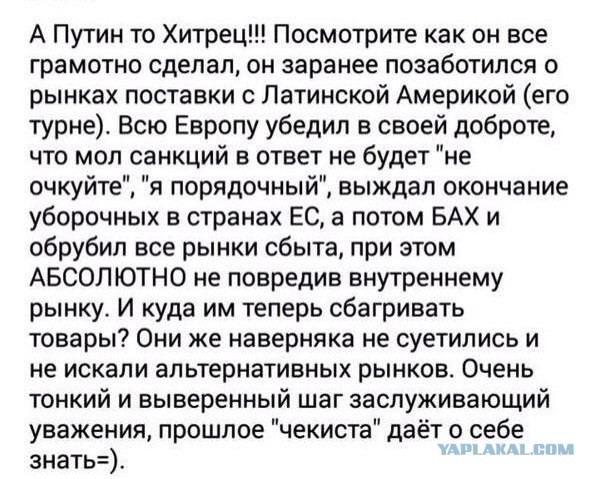 Россияне стали экономить на еде