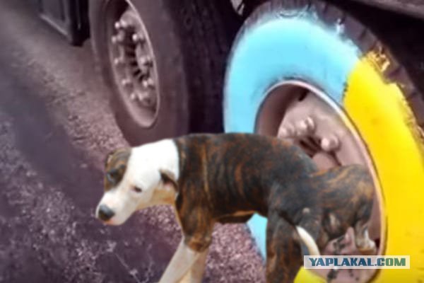 Водителям блокированных на Украине российских фур не продают продукты...